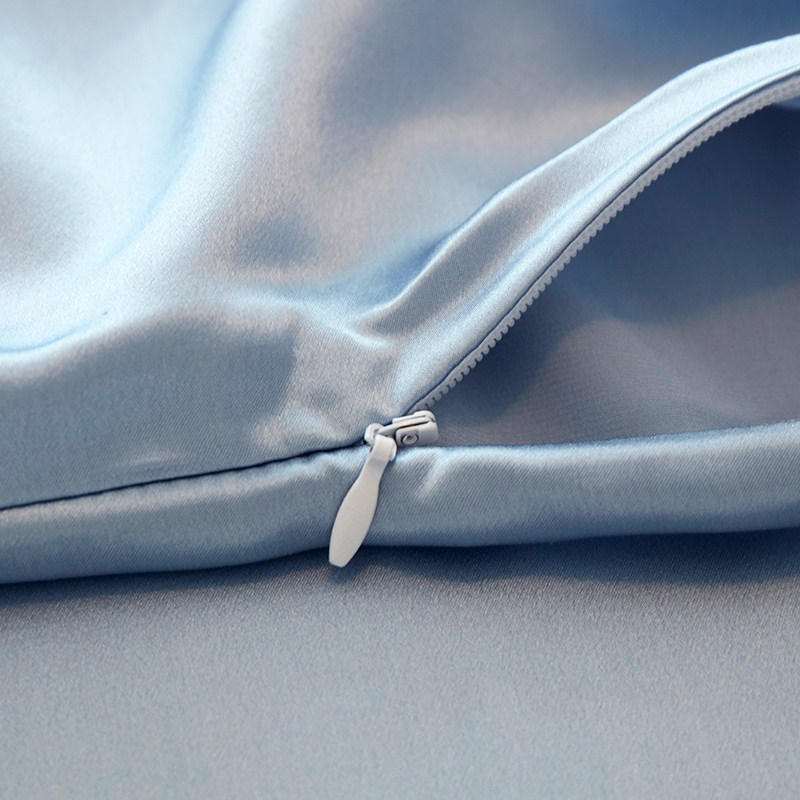숨겨진 지퍼가있는 100% 순수 멀 베리 실크 긴 베개 - Silk Pillowcase 리뷰 및 가격